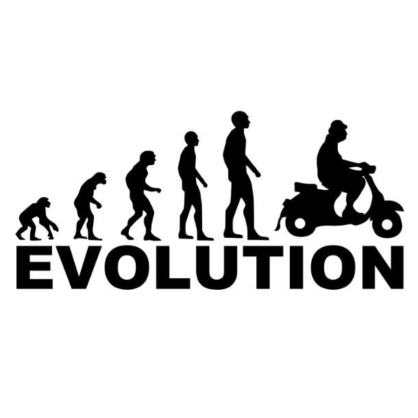 Sticker - Evolution - 25x12cm